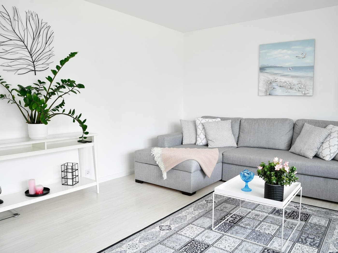Salon lumineux avec canapé gris et plante verte